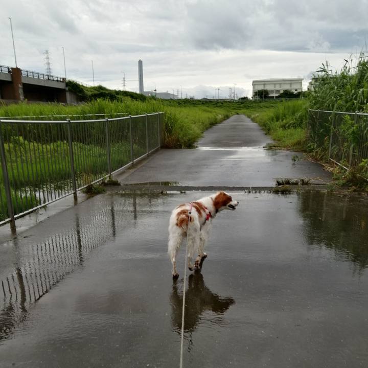 6c044f99 94a3 4e85 8e8d ed9622efcf3d 1593991139453