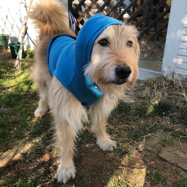 6c046ad0 a73b 4ecf acb6 d9793fa2e9f8 1550446078876