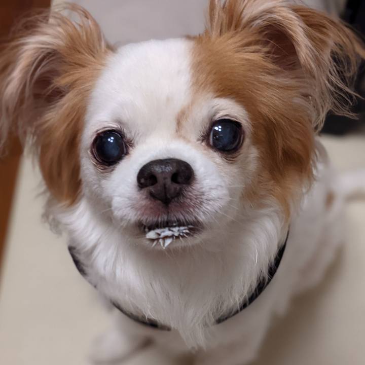 6c04758f da5e 48e5 ab50 1bcb8753a30a 1624282495212