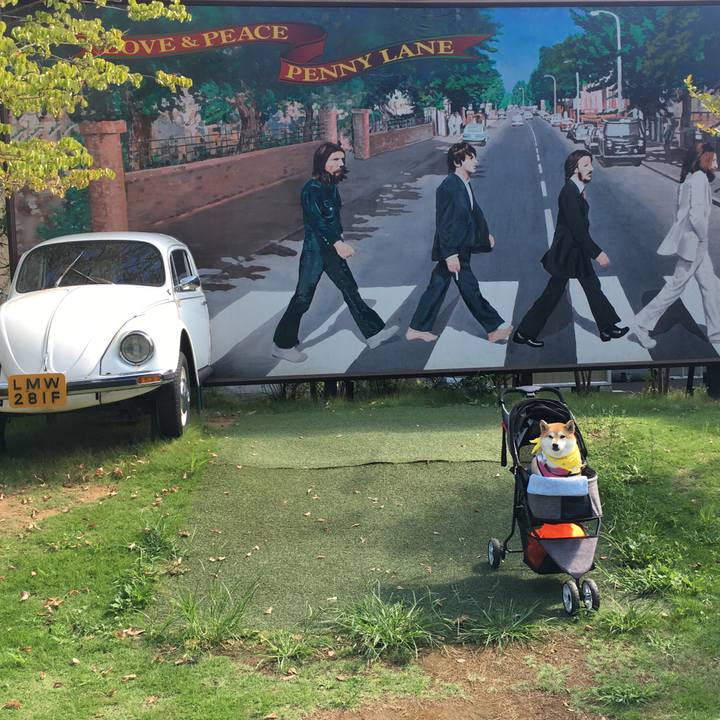 6c048ef7 cf72 4f05 bc93 0d1683d6a047 1567337929218