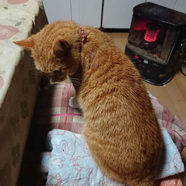 6c04c52e bb82 429e aa86 6cac68074176 1607374661652