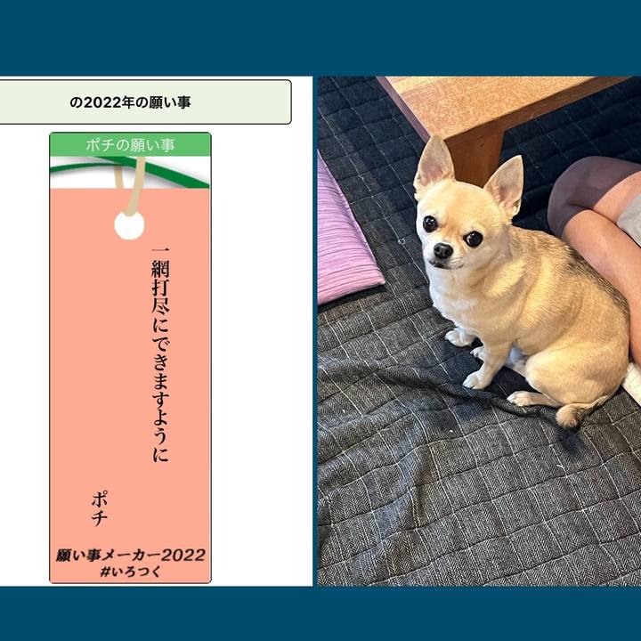 6c04fb49 6d2a 4396 9c88 b0dd01ee8599 1657179013501