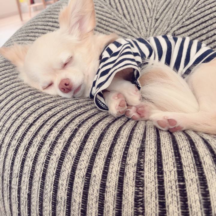 6c050109 3142 49c2 a6fd 6a6effcc3752 1695360508733