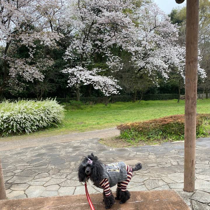 6c050769 b521 4b69 8545 86fe475a8250 1712376700481