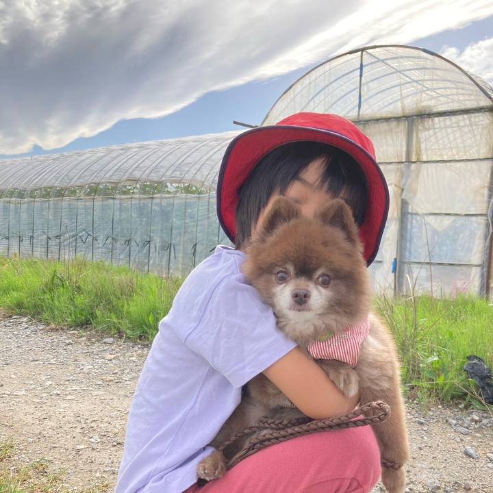 6c054833 1a44 4ba5 8a29 51994f8e31e9 1664224825074