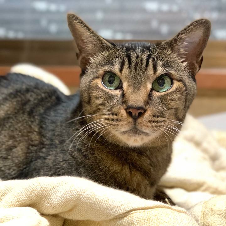 6c057308 5c45 4ac1 b2a3 7665449ba8b5 1597878057496