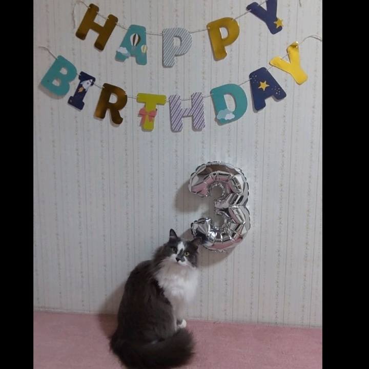 6c05b7ef a661 4d41 b4c3 a073546438dc 1651353739574