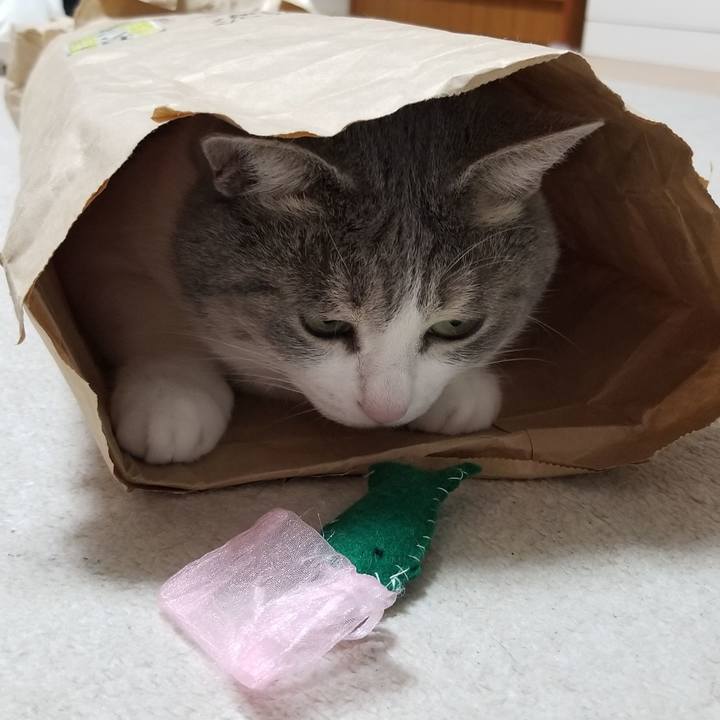 6c05c73f 0059 494a a97a e14b52630955 1594124768882