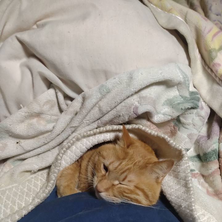 6c063a23 b509 49da 8ec5 b2f456607769 1709640711730