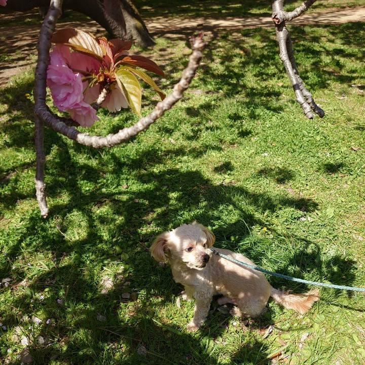 6c0697ba 19da 48d6 856b 746a1fa1ac66 1618028419700