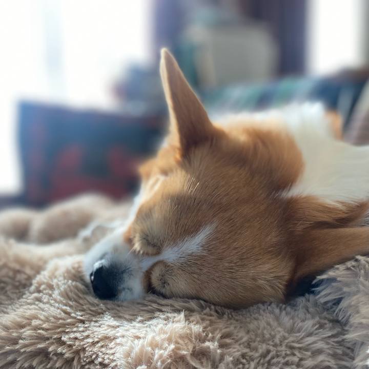 6c06acea cf11 486b 9a79 da07caf00ef3 1773473580744