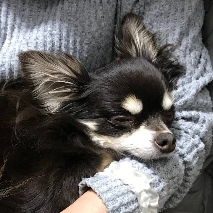 6c06b068 0a4c 4160 ad96 3de84dc30d9a 1581425904743