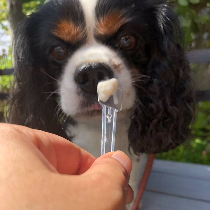 6c06fbb2 216d 4538 81f3 c4109c38033b 1536115934517