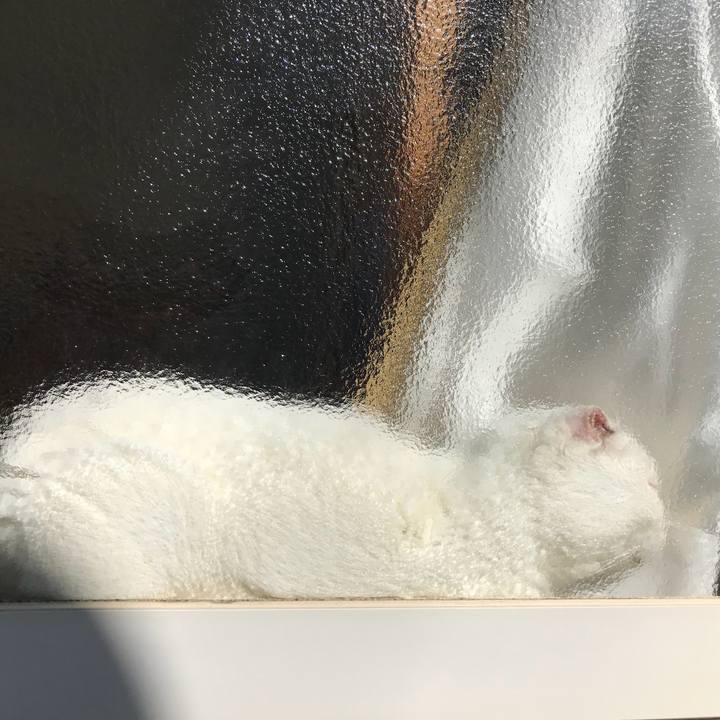 6c072caf 8292 4bac 9b93 1d50ae080723 1521954986575