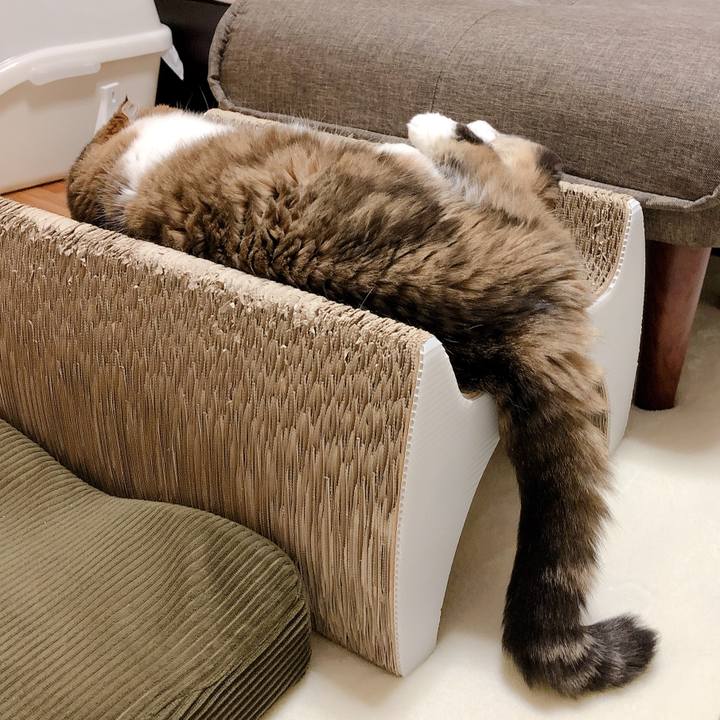 6c0732c5 afd6 4d45 bb58 f5457b8ac141 1598286867451