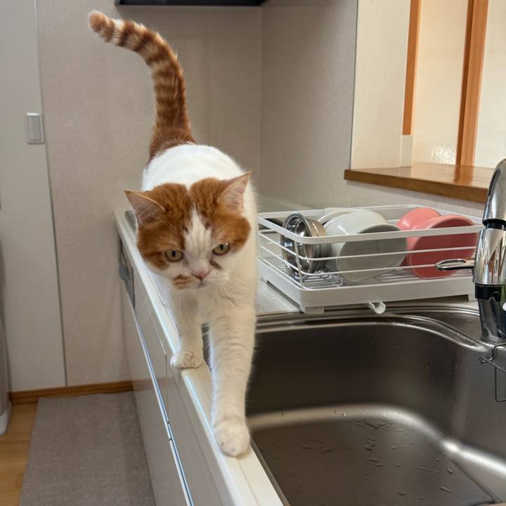 6c073d48 78f3 439e 908f 6208c0ade4fd 1769050801956