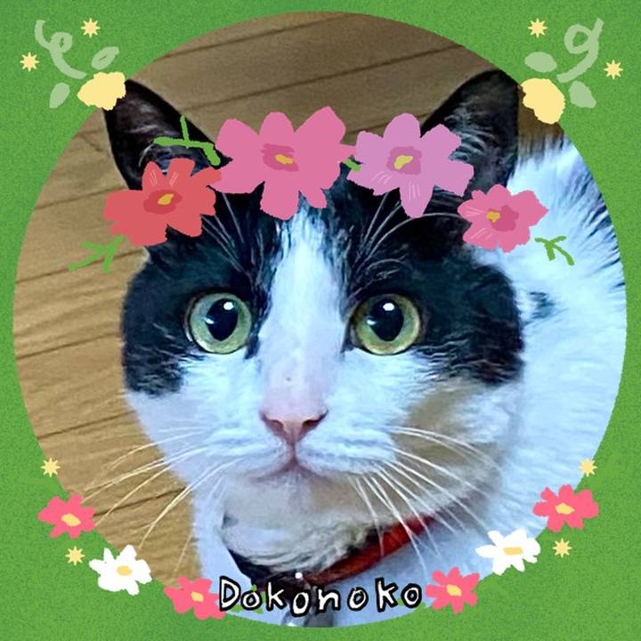 6c074b95 6212 4279 b7cc d3272484b9aa 1726813547889