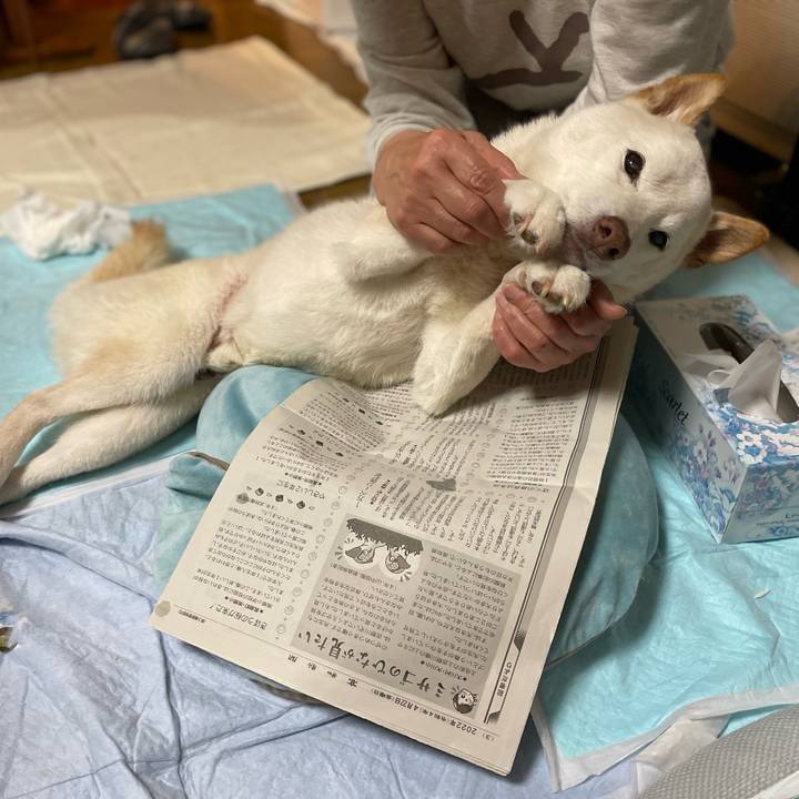 6c076938 49b2 4b4d a9d9 7f36b72e1c47 1650727505856