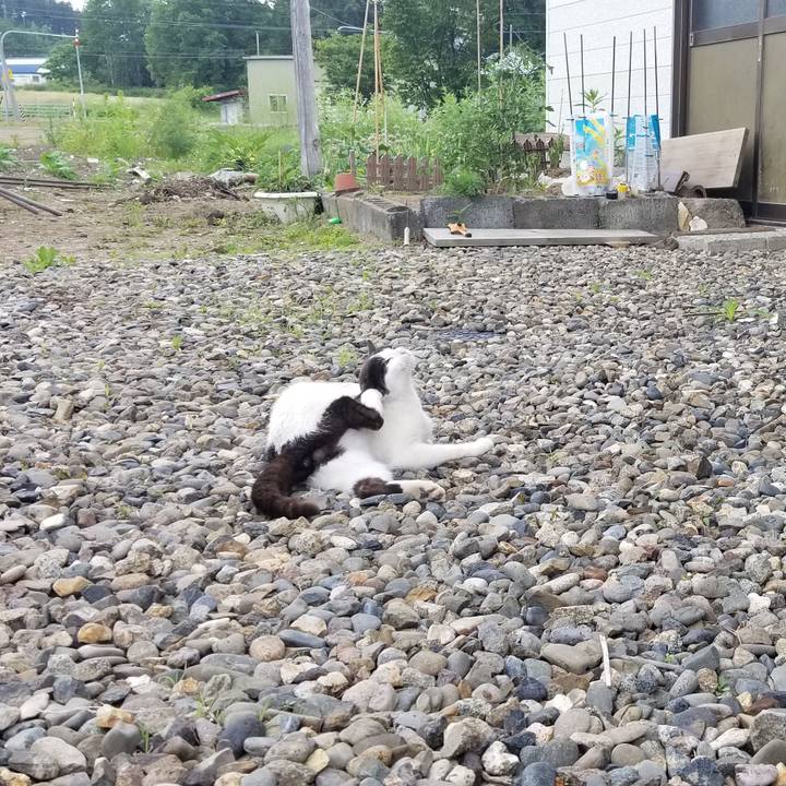 6c07e708 6c6a 43e0 8e72 8ffad05e9bc0 1561782756500