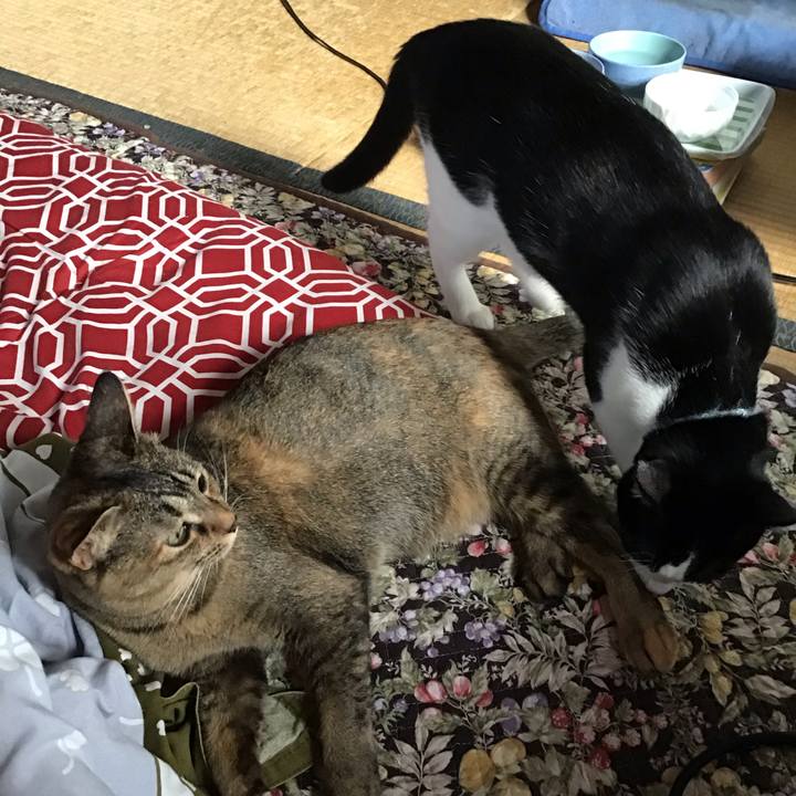 6c07efcb 1be8 49df 909f 71c5e403d6a5 1635201218994