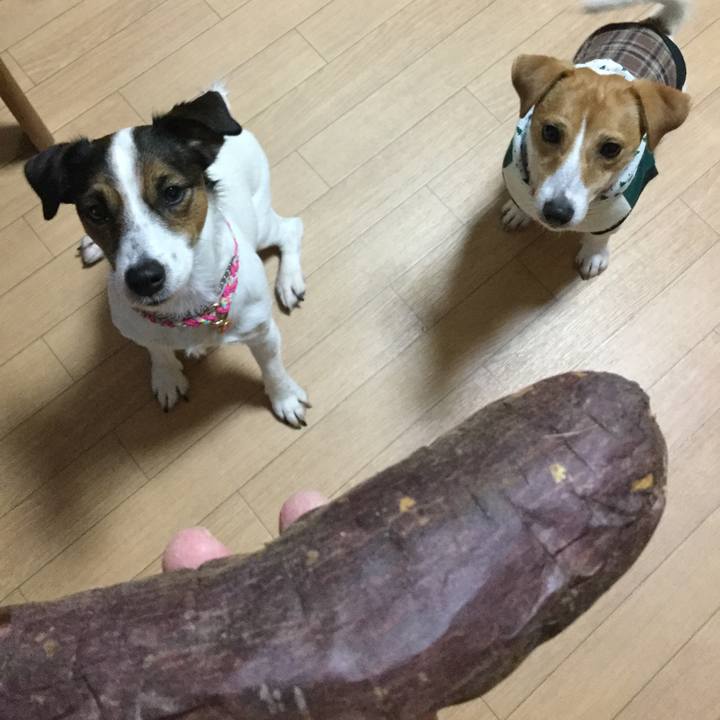 6c07fde5 07c1 442e a6e8 4edf082e5bc6 1511164485339