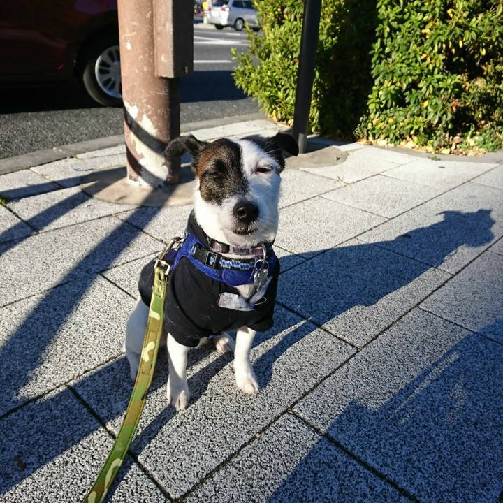 6c0828b3 0ab2 4c69 83de 8b9339801d5f 1513469091326