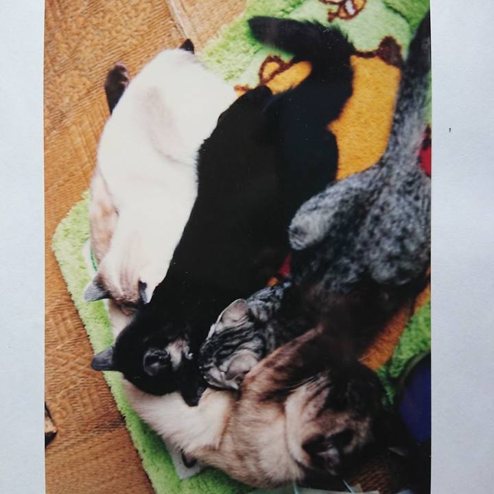 6c0840b9 82ba 4d37 a4ed 89f0d7dc3eee 1599943745246