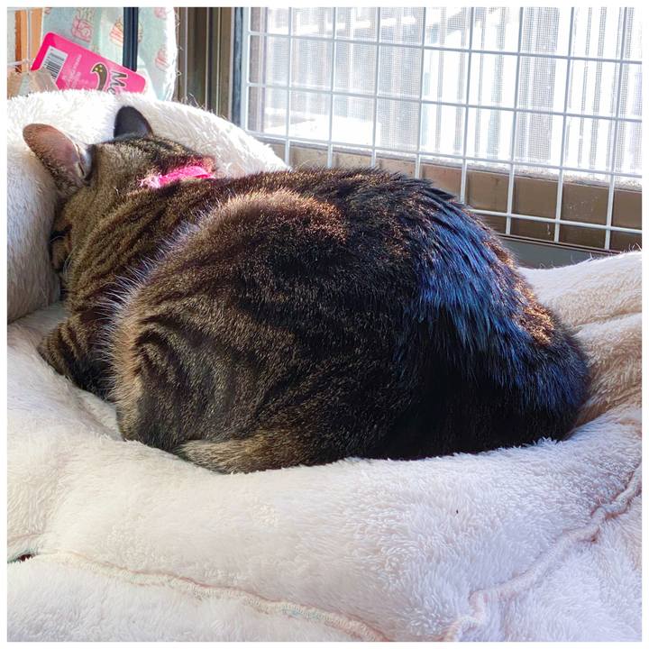 6c08640d 18df 470d 911a 00346196d8e8 1609975117984