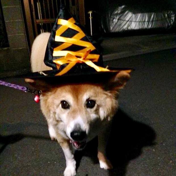 6c0867c9 c085 4c83 948f 5603611b0fe2 1509366746366