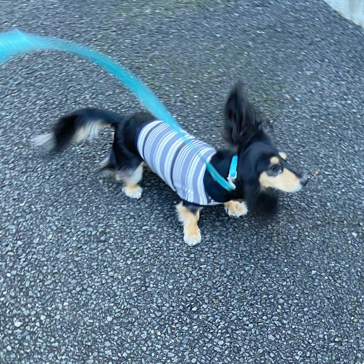 6c08cdf9 8fb0 478f 870e 7593c7976425 1728818505402