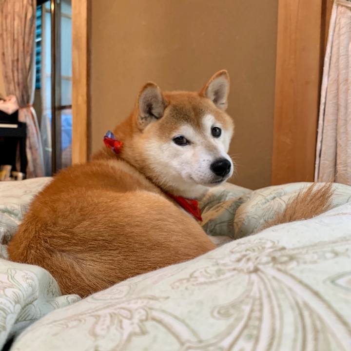 6c08d796 cd63 4240 96c3 a6e2054c2231 1603017635810