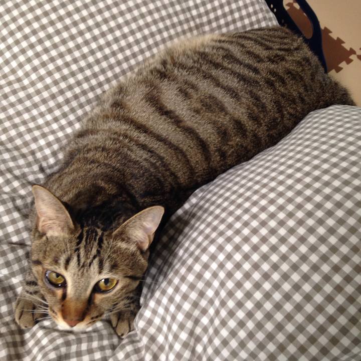 6c08fef3 05df 4af0 9aca fad58a23563d 1511076063252