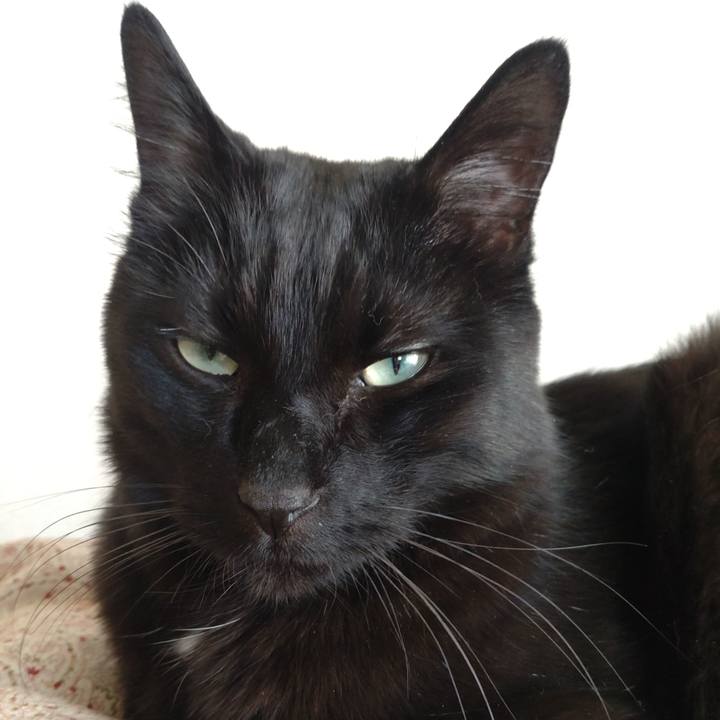 6c090b14 2c1a 4c87 8fdc f58202061274 1682846695860