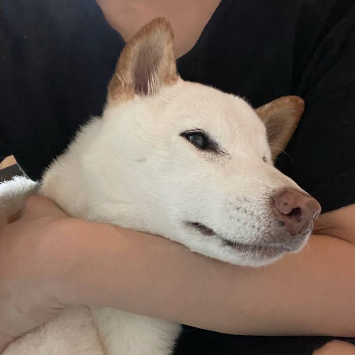 6c091f91 151c 4c56 81bf 108449ee6f67 1634181695708