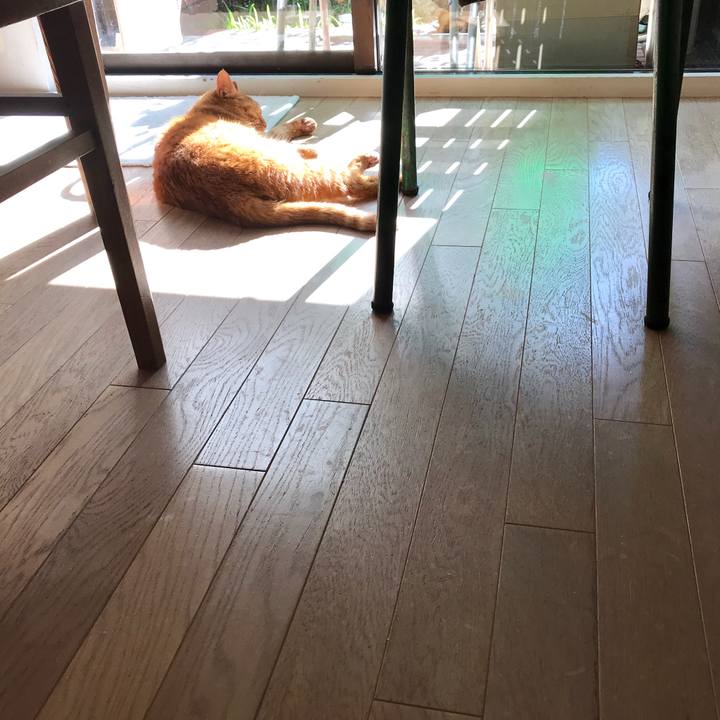 6c092d44 a067 4aa4 bc86 a5cd96f096b5 1512973969855