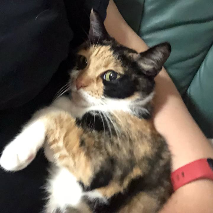 6c092f93 b816 414d adbb 2c8b14b1532c 1527591150790