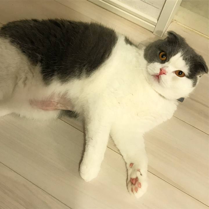 6c0930e4 48fd 4a4e 80d7 25c2fd0047c8 1531703904677