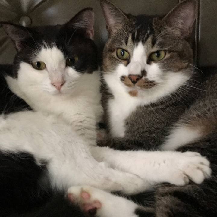 6c093ee3 f94d 492c 88bb 828c37ac7fc3 1576039611107