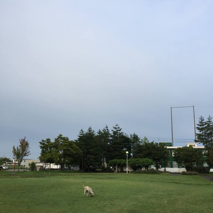 6c097326 8694 4d7d a020 a9582a84485f 1508590733362