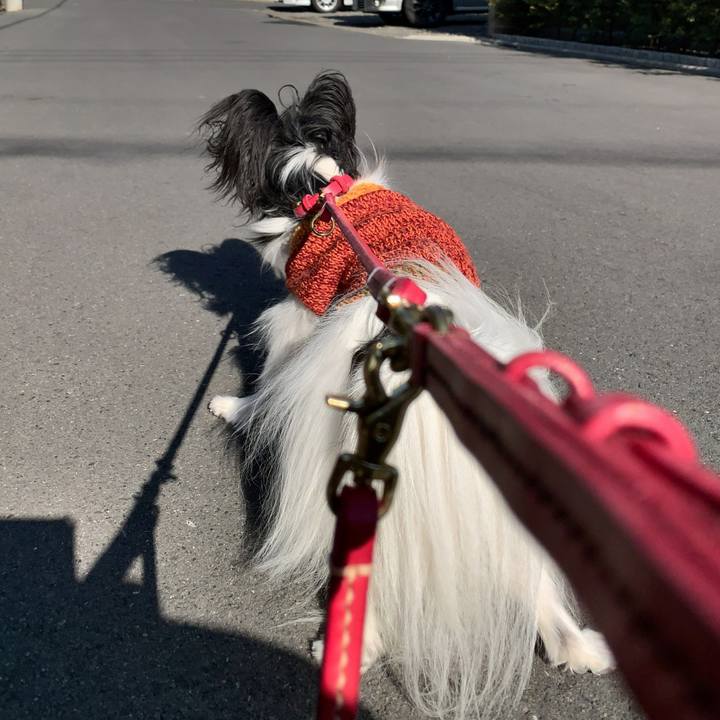 6c09a2bd 3f80 4529 bb89 e0d425d34182 1547349352899