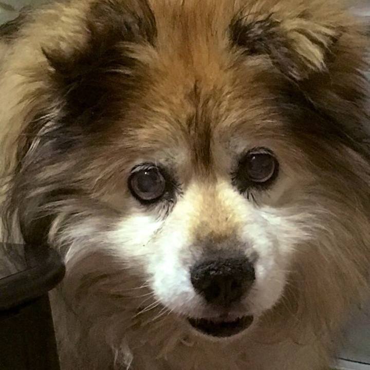 6c09eaa2 ba5f 4762 a037 5b52dcdb5e15 1599387743319