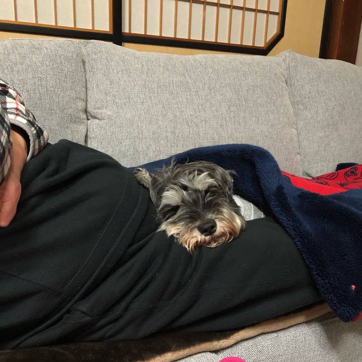 6c09f16e a0cd 477c a39e 190898e776c8 1575461589727