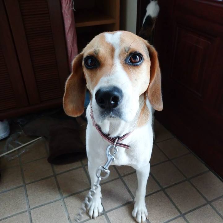 6c0a1fdf 124f 4775 82a0 1d5cd99997e9 1599450708340