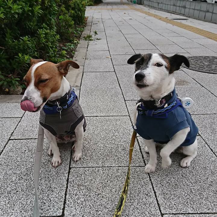 6c0a2b12 bcb7 4377 9ed0 aac20ff5ef2e 1540332456585