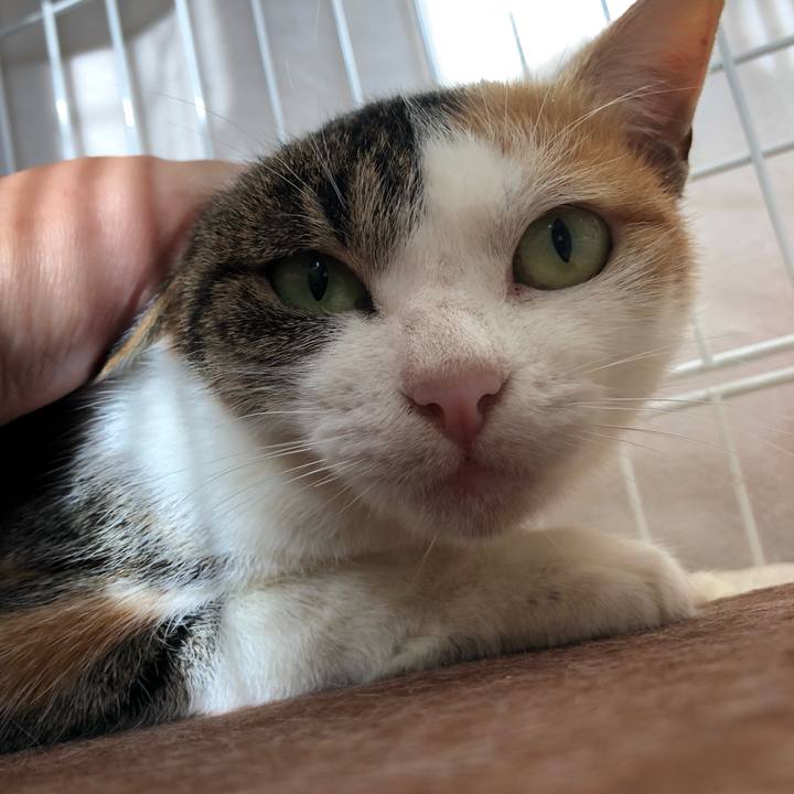 6c0a2f7b 8c95 4f1d afcf ce5b9b056425 1573795688682