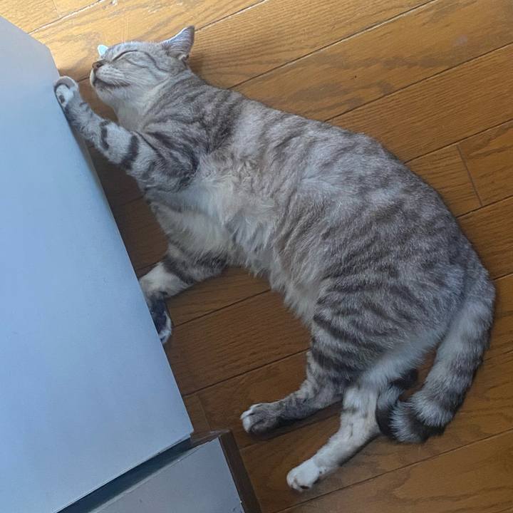 6c0a4321 8d34 4cda b740 f0a58d6c7c6c 1724558083343