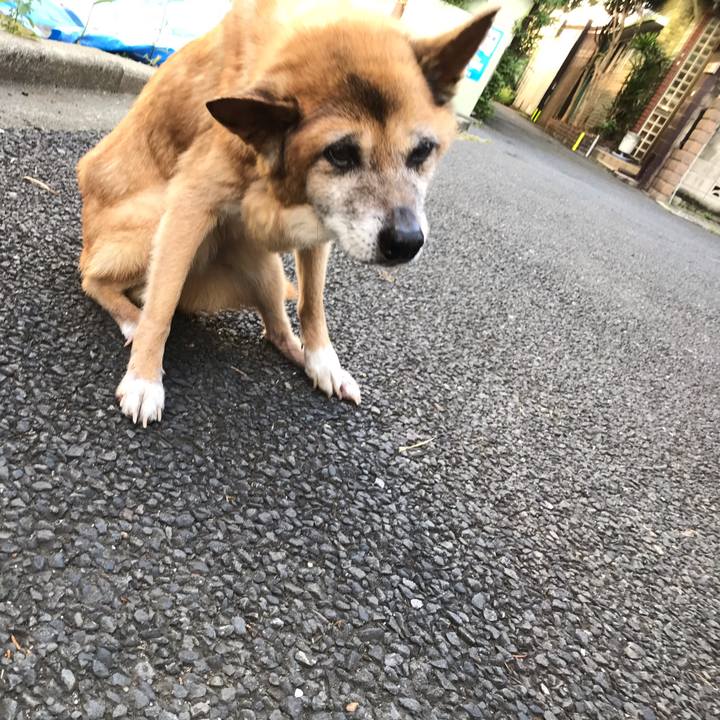 6c0a486e 2522 4e50 a43c efa85714ada0 1565043081559