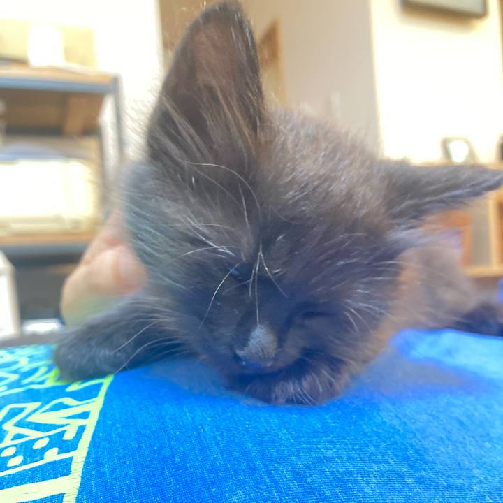 6c0a6af5 1d0e 4fd1 a565 408d3fe3a14b 1697979853786