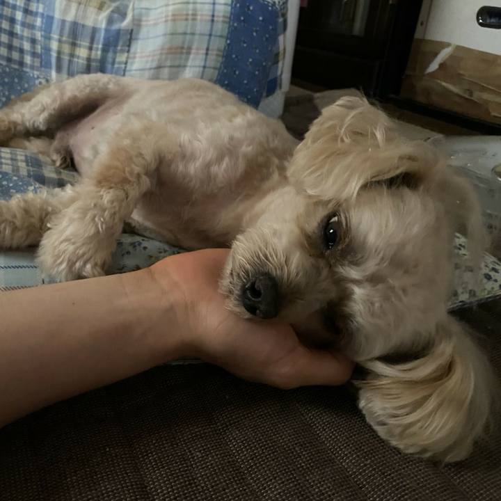 6c0a734d 5b70 4937 9105 674bf9f0b4e3 1595390519661