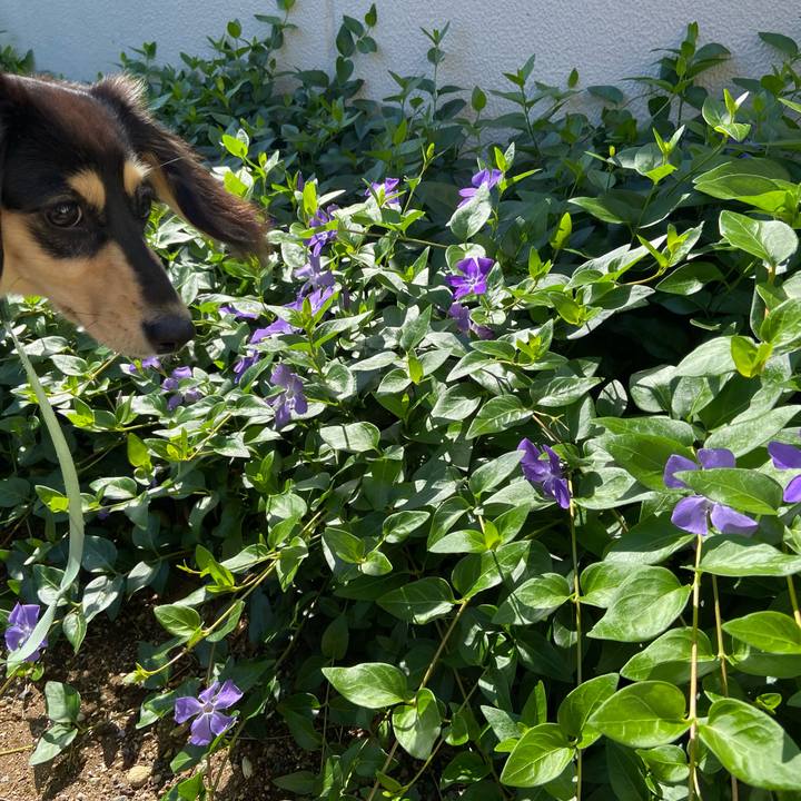 6c0a774b 6e23 456e 9dcb 9c4f959bccaf 1683081260491